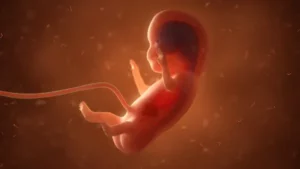 Aborto medicamentoso comprar